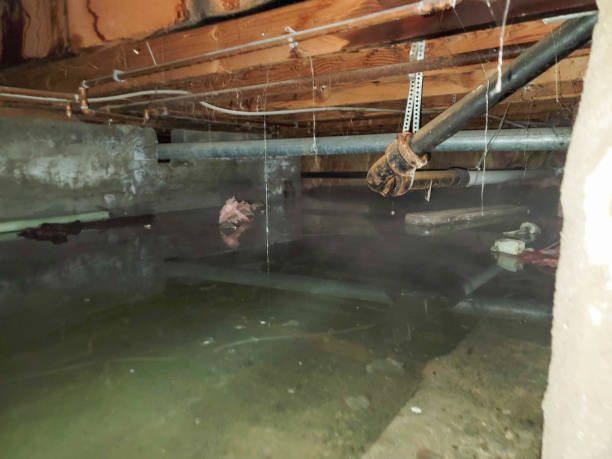 Professional Water damage restoration in Huntington Park, CA